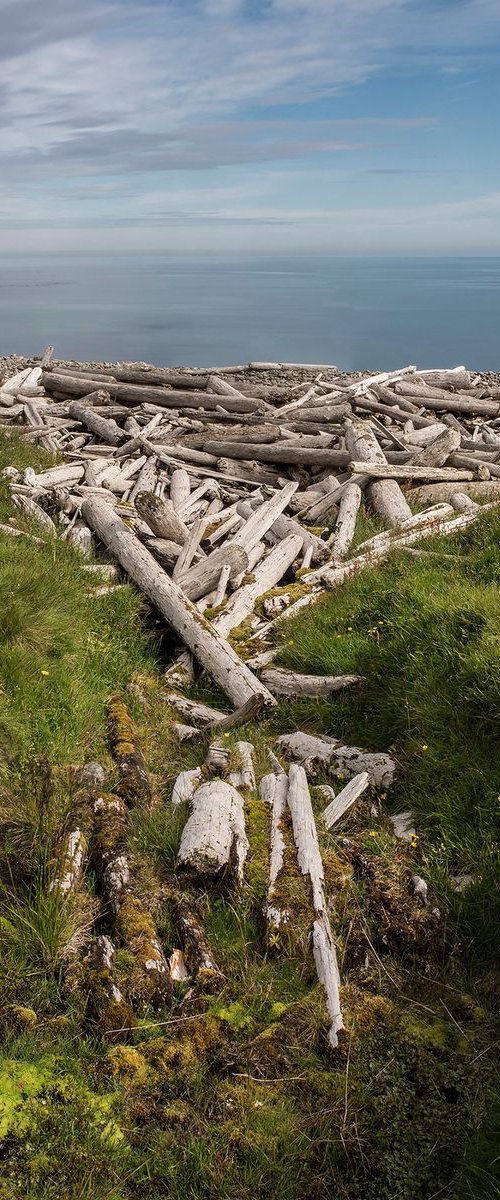 Arctic Driftwood by Matt Emmett