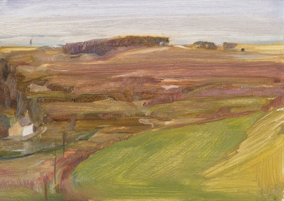 View across the Saltmarshes, North Gower