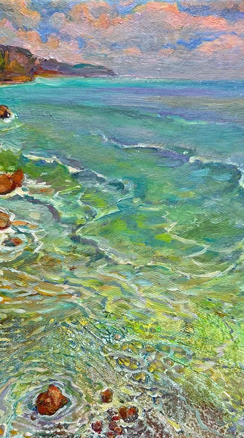 Coastal Cliffside View by Aleksandr Dubrovskyy