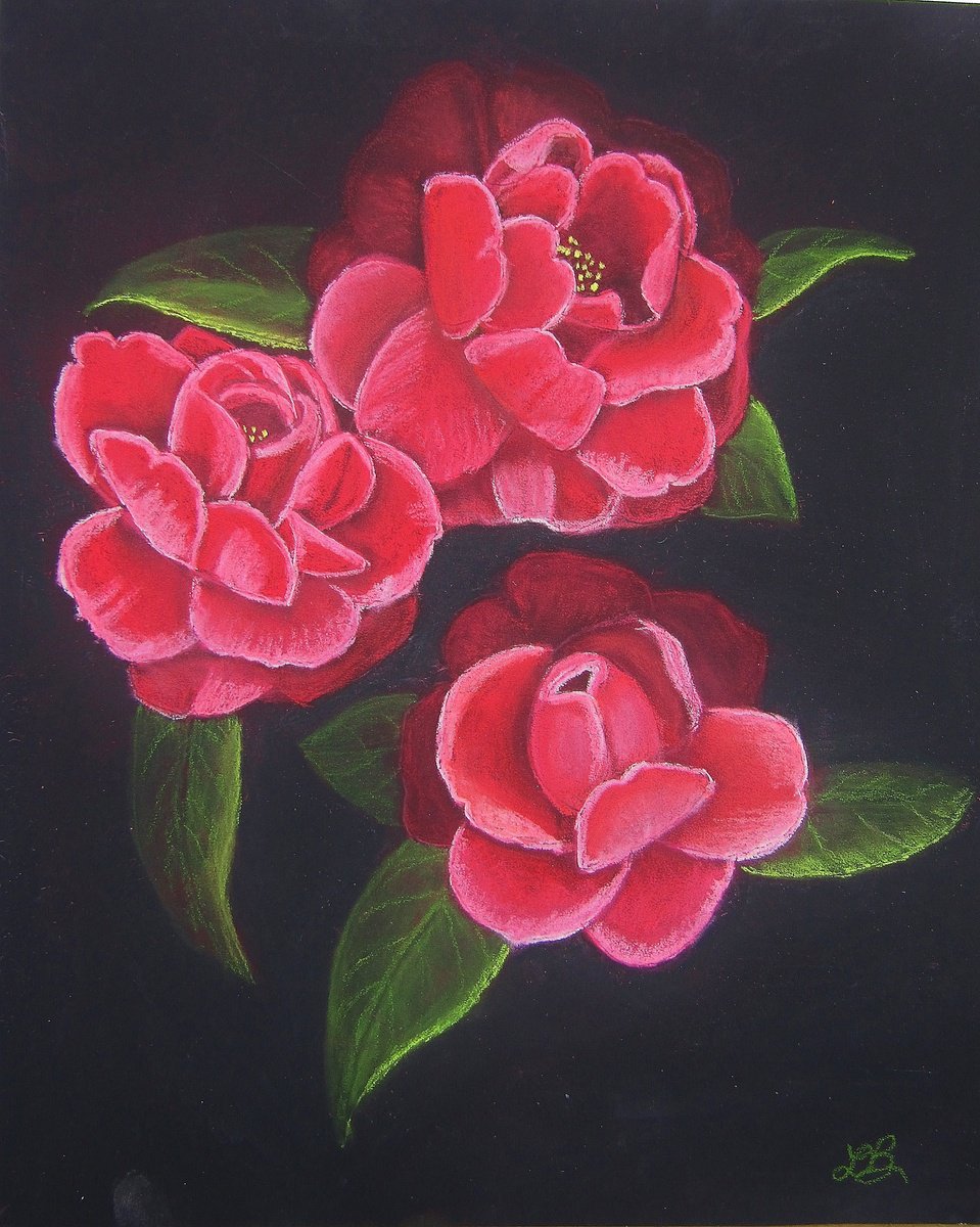 Red Camellias by Linda Burnett