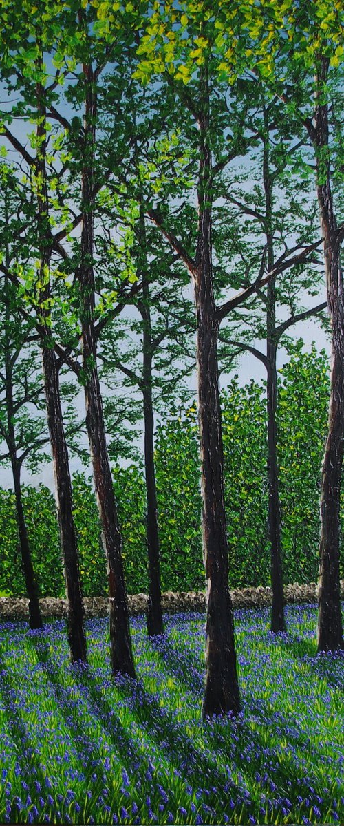 Spring In The Woods by Hazel Thomson