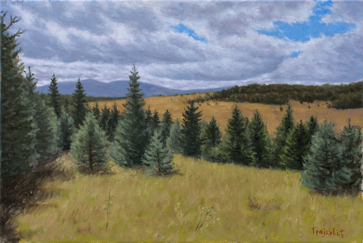 Pines on Meadow by Dejan Trajkovic