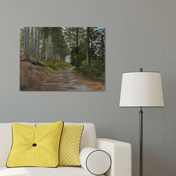 Rocky Road Through the Pine Forest