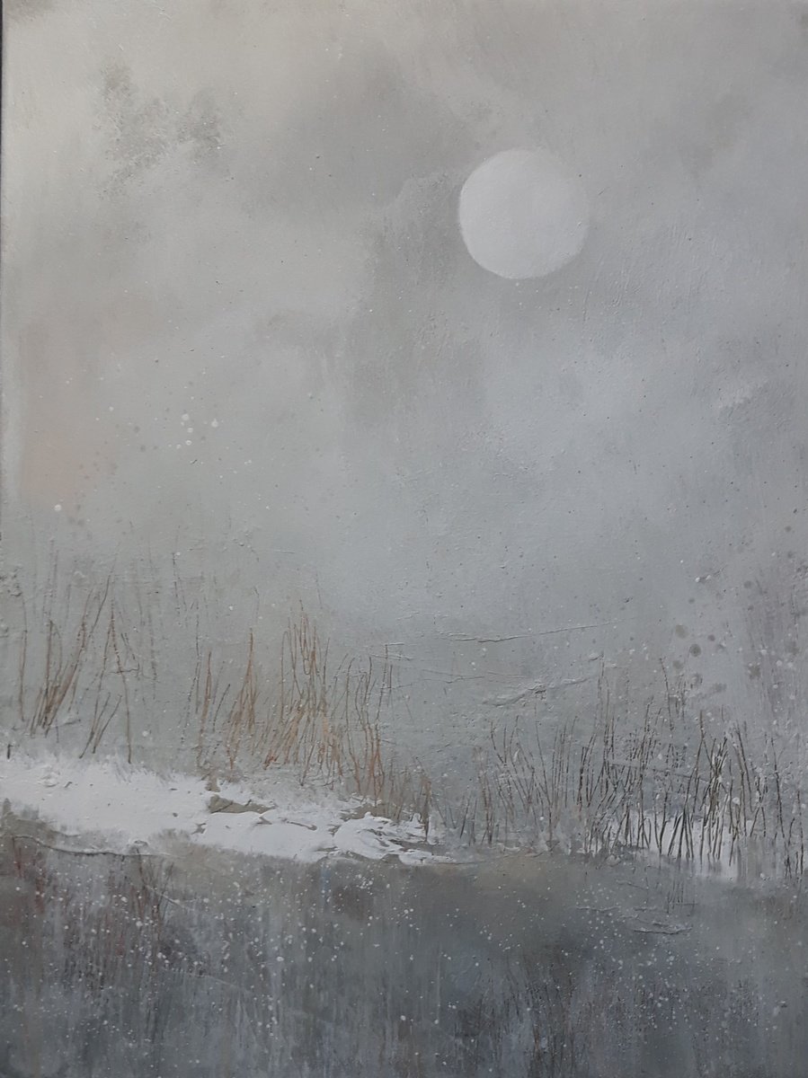 Winter Moon ...Winter Marshes.... by Fiona Philipps