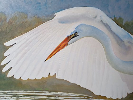 A MATING DANCE OF HERONS
