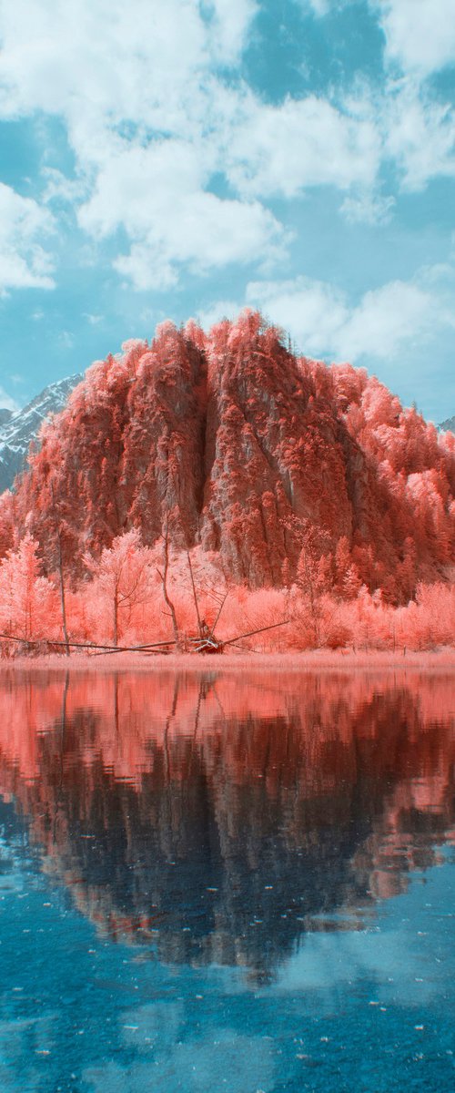 Pink lake by Robert Kohlhuber