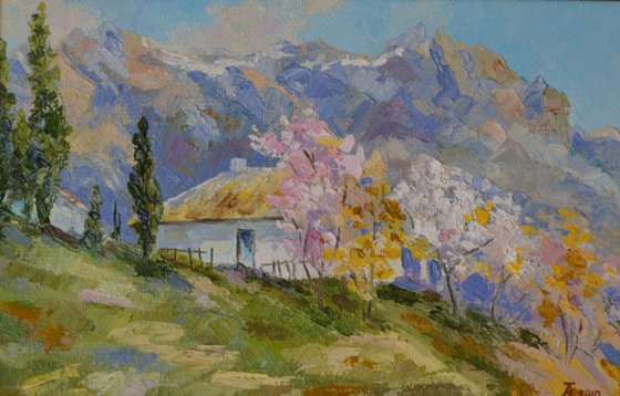 Spring in the mountains