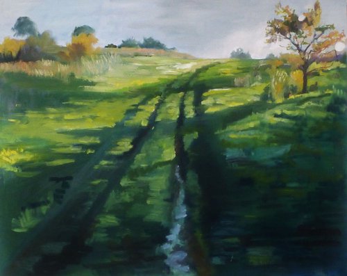 Grassy Track by Alison  Chaplin
