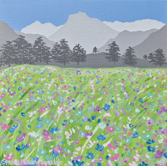 Spring Meadow, Langdale