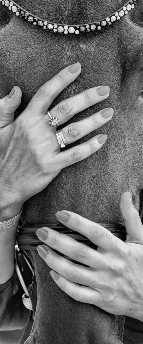 Horse & Hand by Marc Ehrenbold