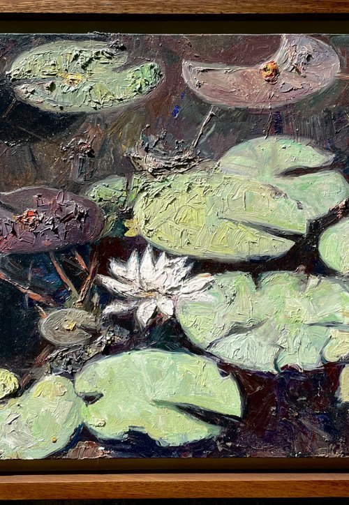 Water Lilies in Still Light by Andres Portillo