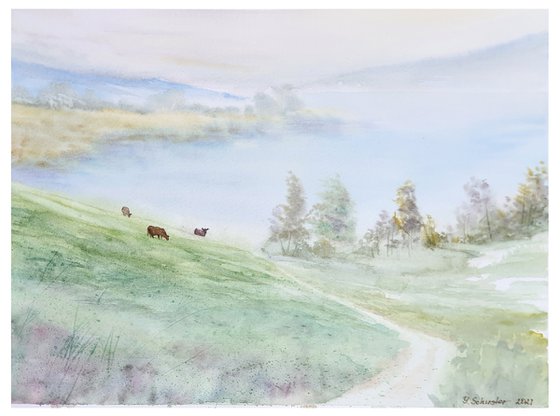 Morning Silence