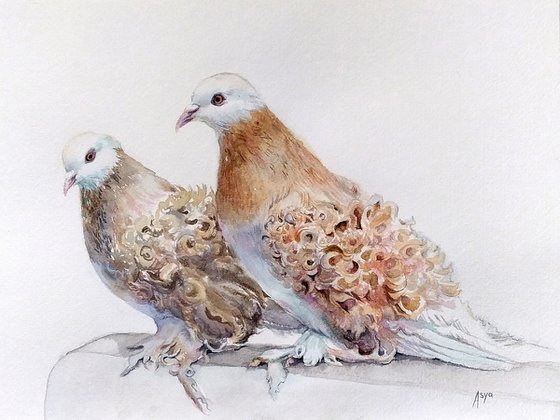 Pigeons. Original watercolor.