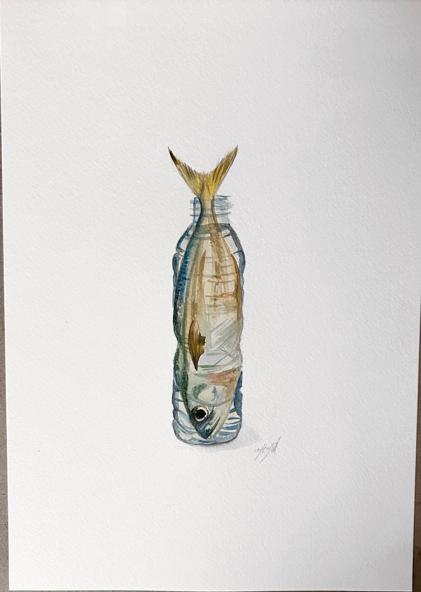 Fish in a bottle by Amelia Taylor