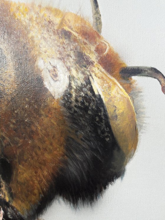 Bee painting on canvas,  original art bee, bee art, hyperrealism art insect