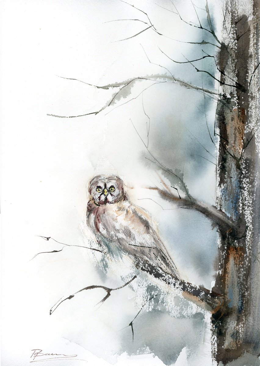 Expressive Animal Watercolour By Olga Tchefranov (Shefranov), 10 X 15", Owl In The Frosted Silence, Original Artwork