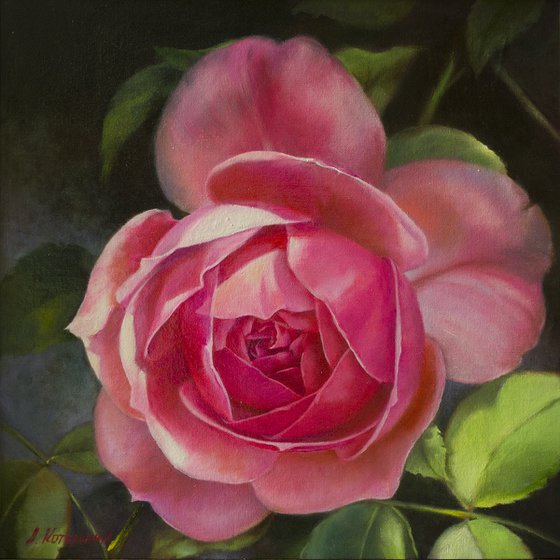 "Margo"  rose flower pink  realism liGHt original painting   GIFT (2018)