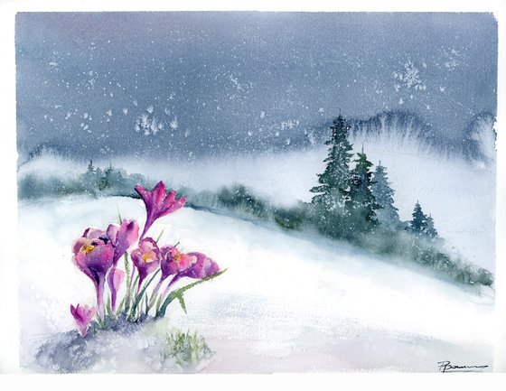 Crocuses in Snow #1