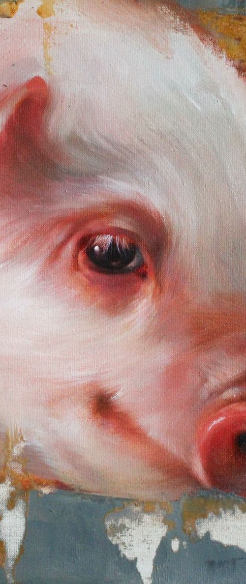 Pig by Khrystyna Bodnaruk