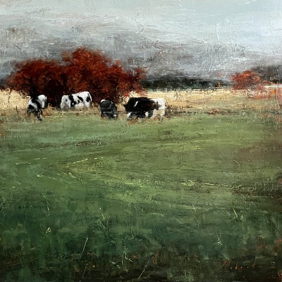 SOMEWHERE IN THE COUNTRYSIDE