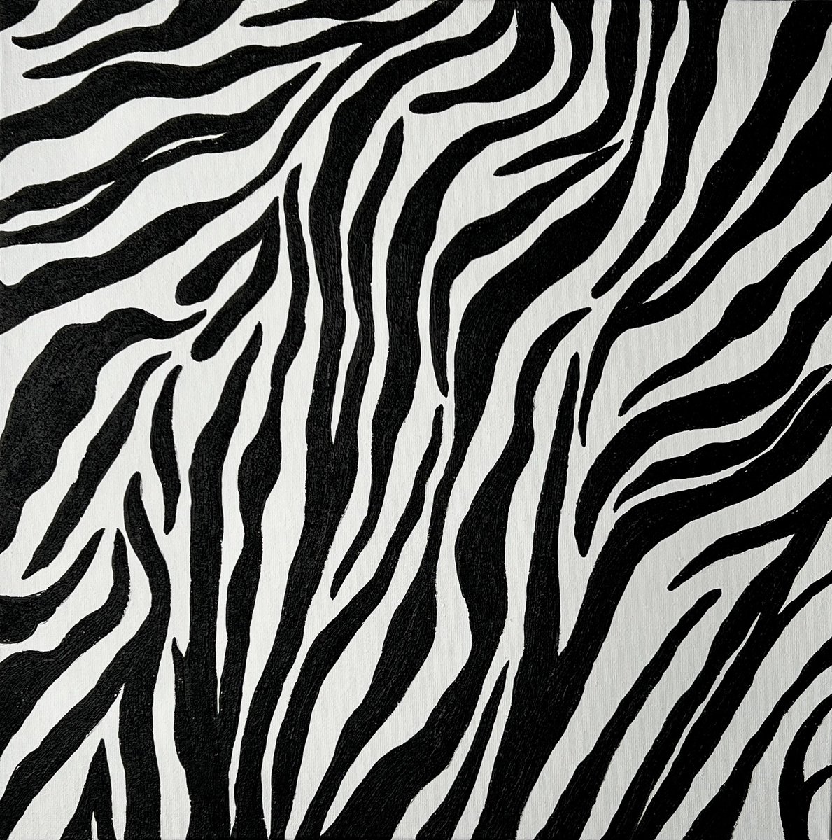 Zebra Pattern by Iryna Antoniuk