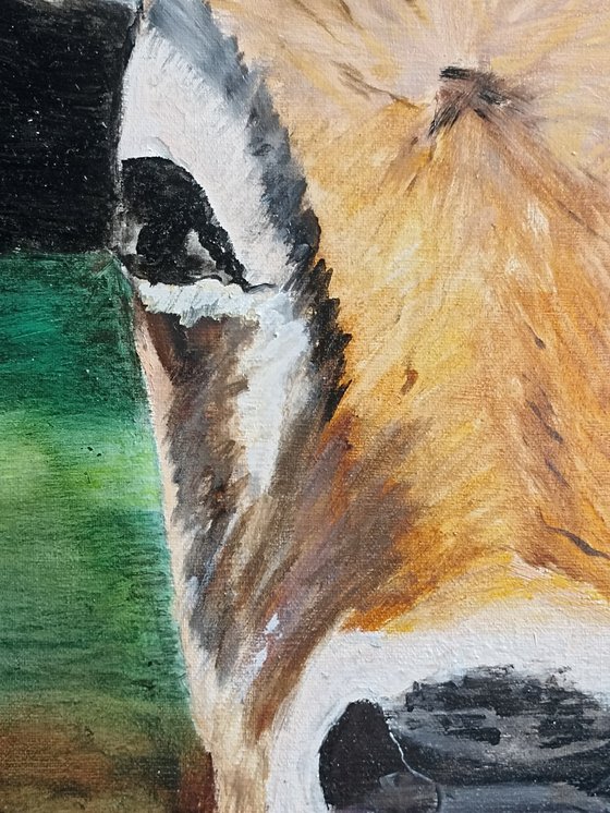 Cow