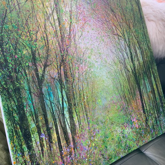 Rainbow Woodland