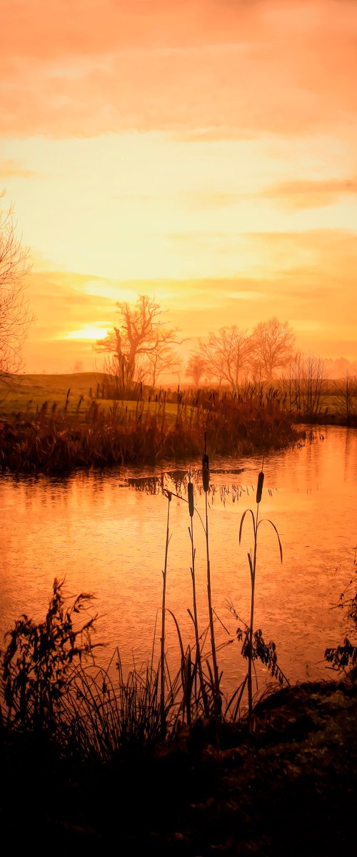 Sunset River by Martin  Fry