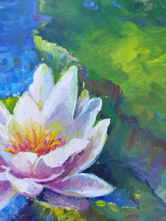 Water lilies oil painting 50*50 cm