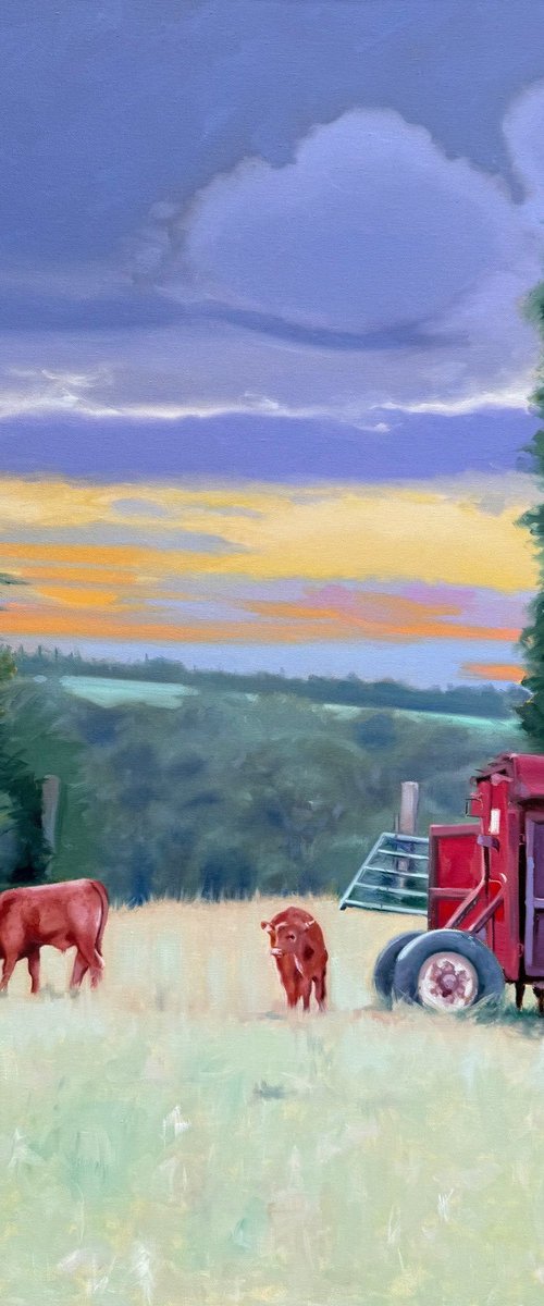 Two Calves at Dawn by Jessica Bleasby