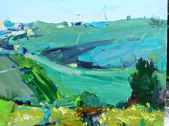 "  Vineyards "