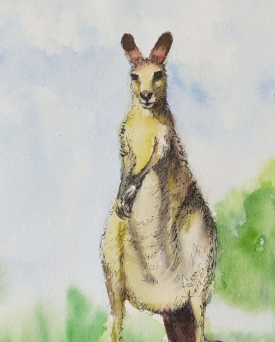 Kangaroo Ink and watercolor