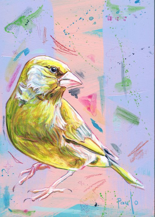 Greenfinch by Paul Ward