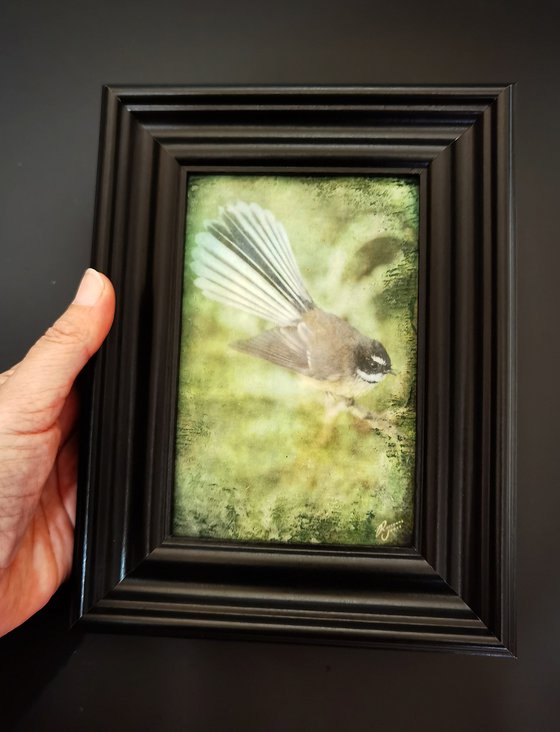 Fantail Foliage