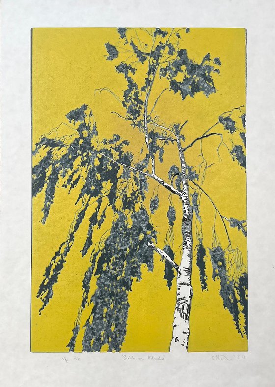 Birch Tree Linocut Print