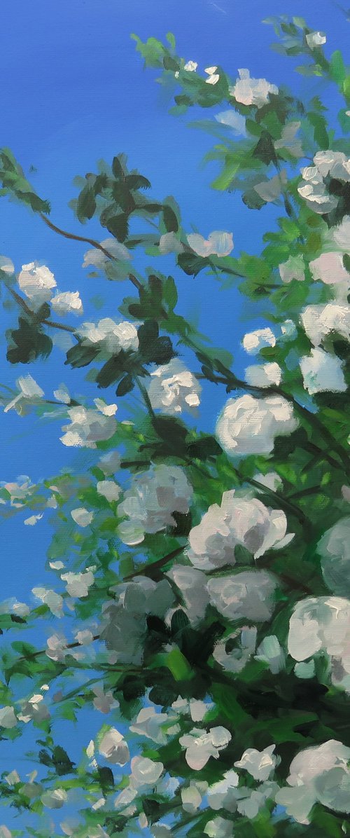 Under the blossom tree by Kerry Lisa Davies