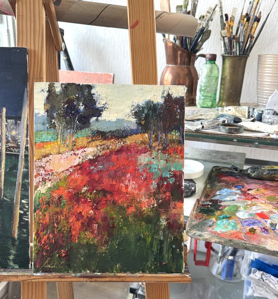 Poppy field
