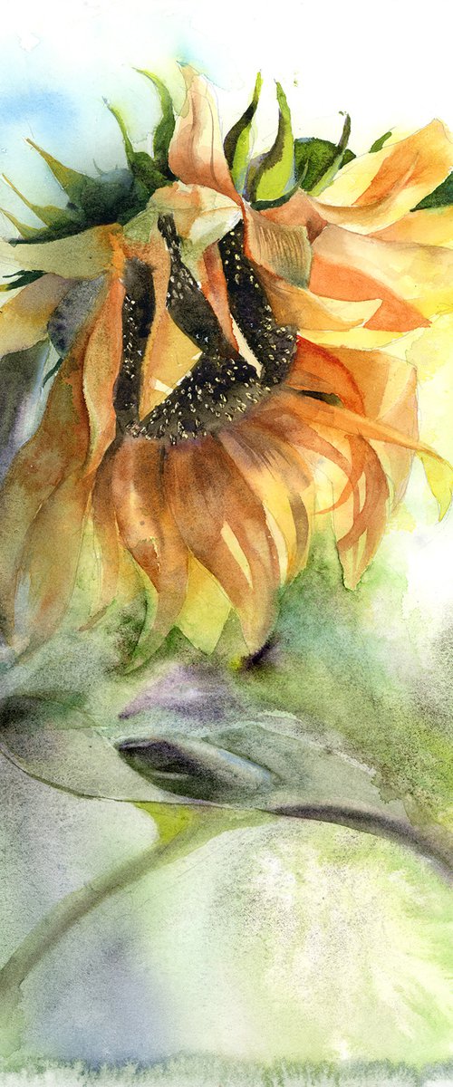 Sunflower by Olga Tchefranov (Shefranov)
