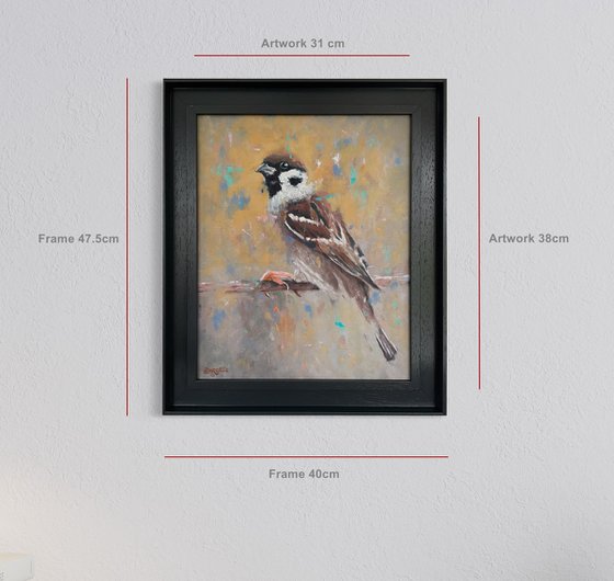 Tree Sparrow bird