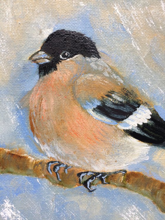 Bird oil painting - Bullfinch female small canvas art - Christmas gift for bird lover (2021)