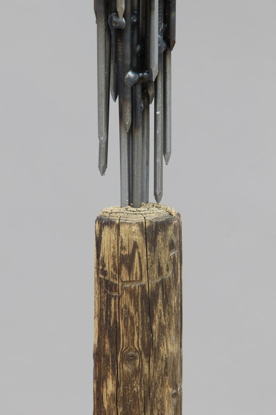 human nails XIX