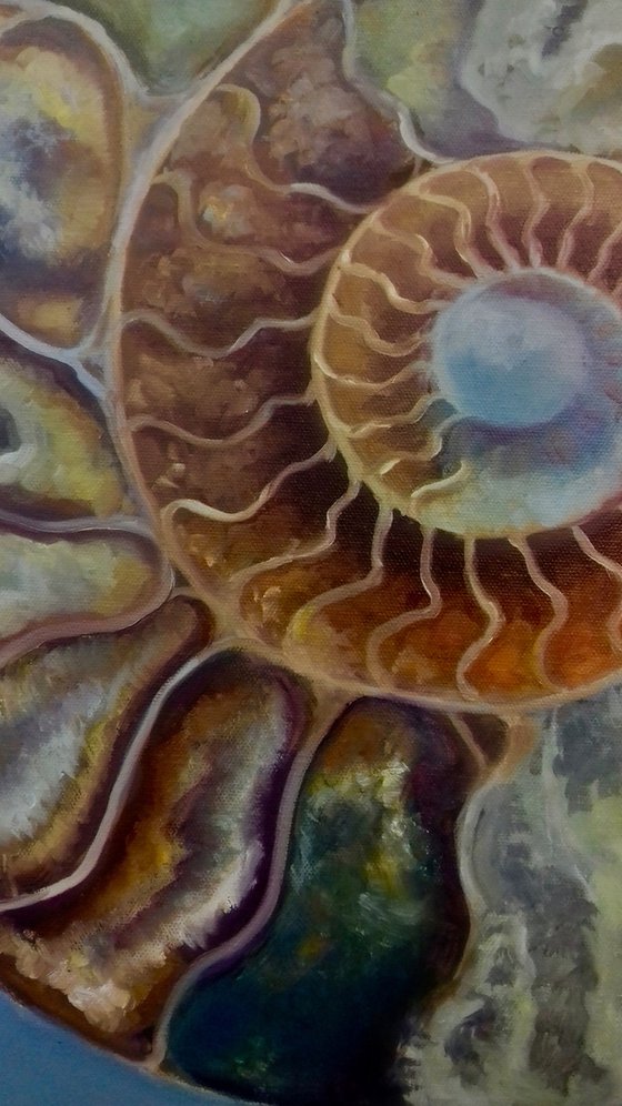 Ammonite