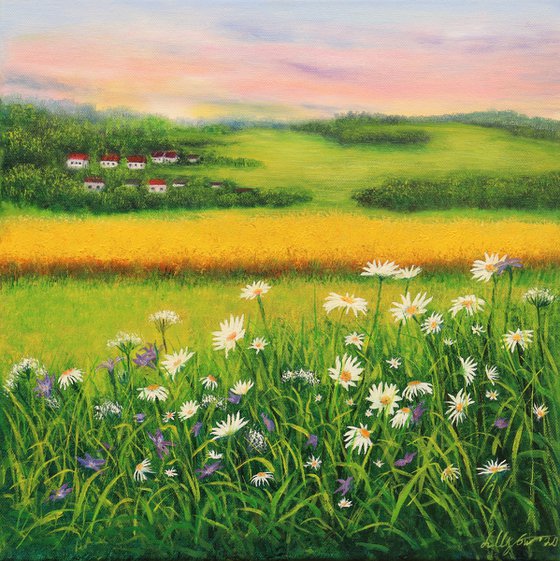 Daisy meadow landscape