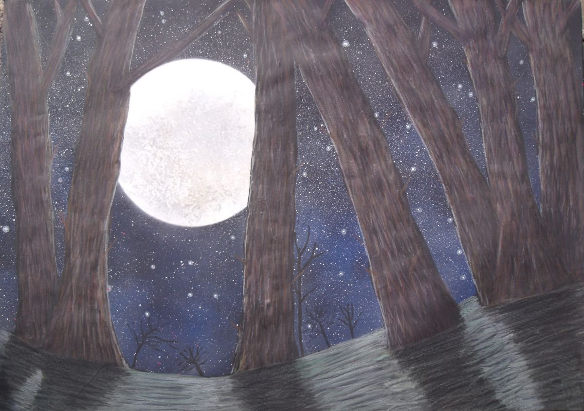 The Night Sky by Ruth Searle