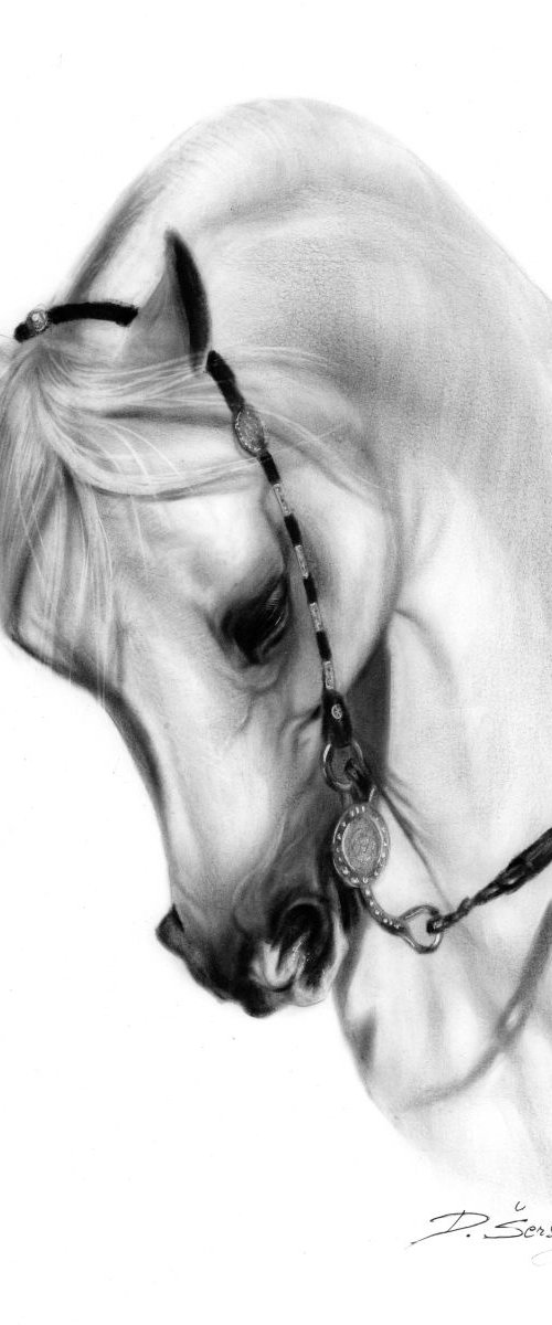 Arabian Horse by Danguole Serstinskaja
