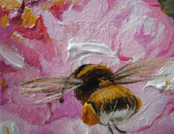 Bumblebee on Pink Petals