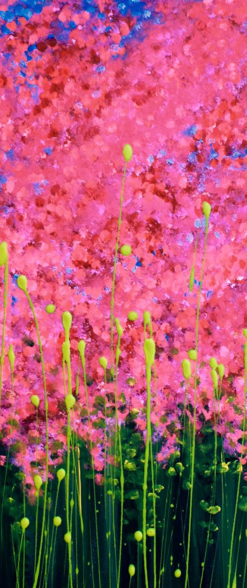 Passion for pink by Emma Sian Pritchard