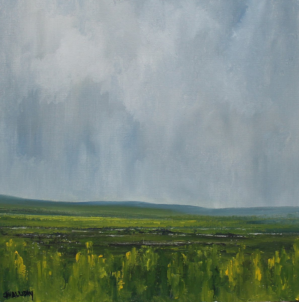 Impressionistic Landscape Oil Painting By John Halliday, 16 X 16, Across The Wetlands, Ireland, Original Artwork