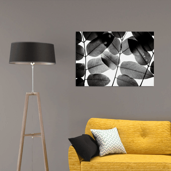 Experiments with Leaves II | Limited Edition Fine Art Print 1 of 10 | 90 x 60 cm