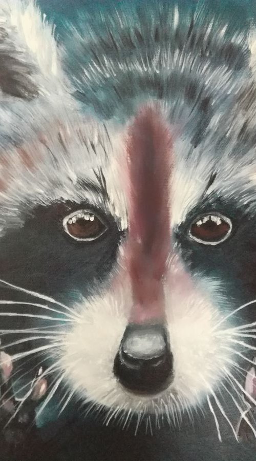 Racoon by Nataliia Plakhotnyk